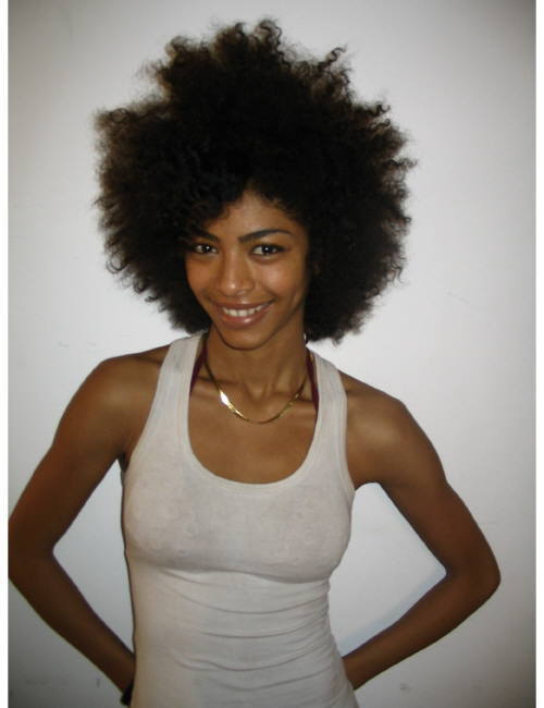 natural hairstyles pictures. own natural hair styles.