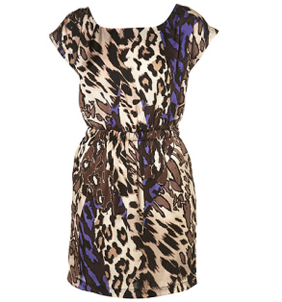 Splurge of the Day : Leopard Print Dress by Rare