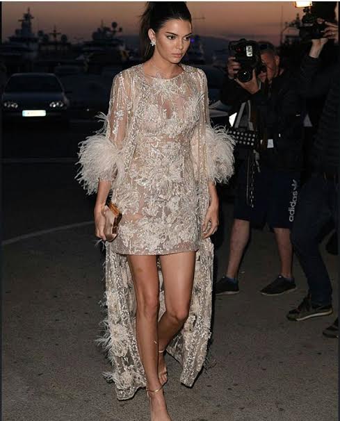 Kendall-Jenner-Cannes-Film-Festival-Elie-Saab-Spring-2015-couture-sheer-feather-dress-1
