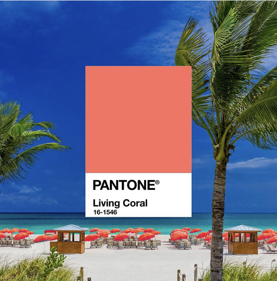 Pantone-Color-Of-The-Year-Announced