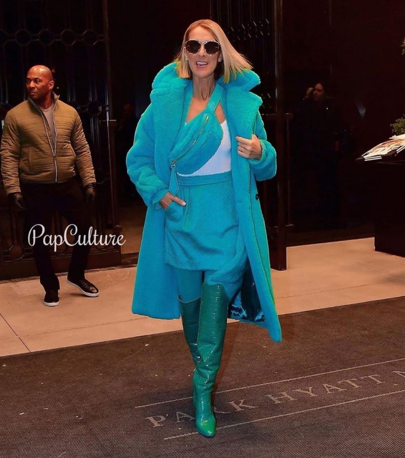 Celine Dion Gave Us Chic FW19 Street Style in NYC Wearing Max Mara and ...