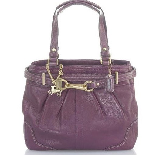 Splurge of the Day : Coach Hamptons Leather Carryall Tote from Avelle