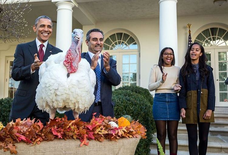 Wardrobe Query: Malia Obama’s President Barack Obama Turkey Pardoning Ceremony J.Crew Navy Blue and Gold Brown Colorblock Two Tone Field Coat