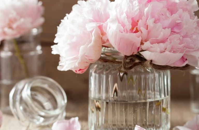 What to plant in your garden for year-round flowers