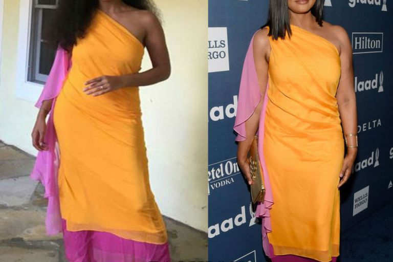 Who Wore It Better? Solange Knowles vs. Garcelle Beauvais in Diane von Furstenberg’s Nori One Shoulder Silk Chiffon Dress