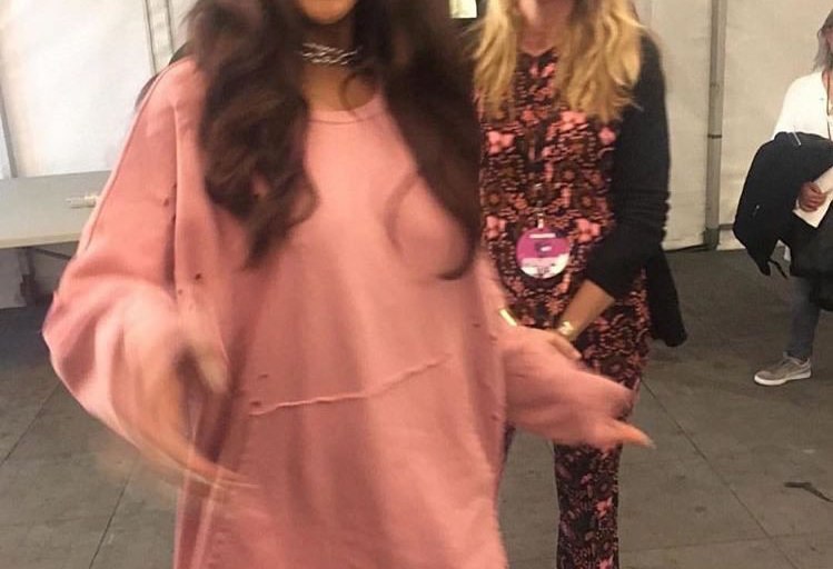 Steal: Rihanna’s Copenhagen Anti World Tour Show Granted Dusted Pink Distressed Sweatshirt