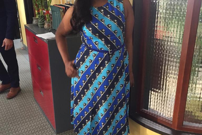 Splurge: Mindy Kaling’s Instagram $706 Mary Katrantzou Osmond Stripe Lion Print Crepe Dress