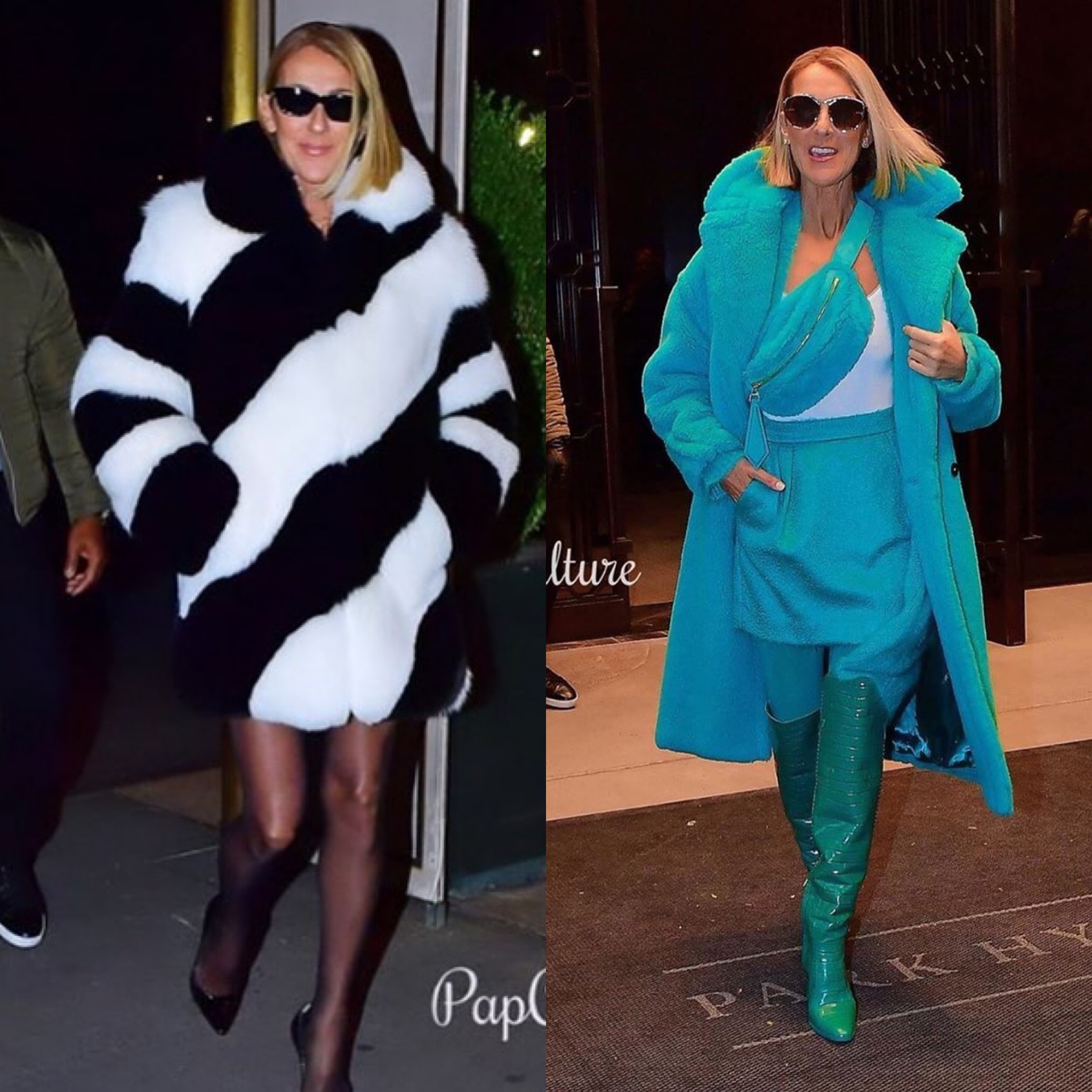 Celine Dion Gave Us Chic FW19 Street Style in NYC Wearing Max Mara