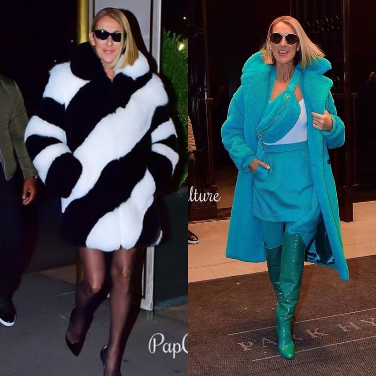 Celine Dion Gave Us Chic FW19 Street Style in NYC Wearing Max Mara and Saint Laurent!