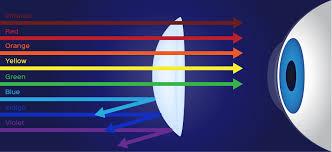 A Guide to Photochromic Lenses and Transition Lenses (2020) | NVISION Eye  Centers