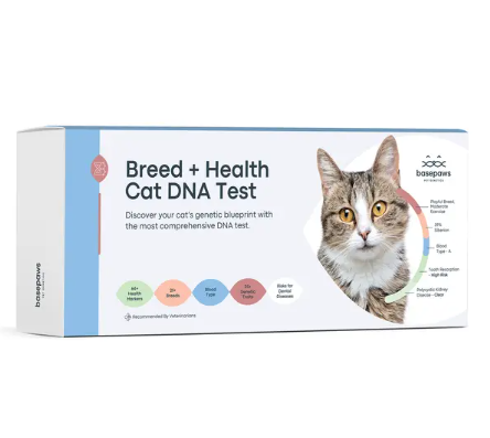 The Rise of Pet Personalization: Cat DNA and the New Luxury Pet Culture